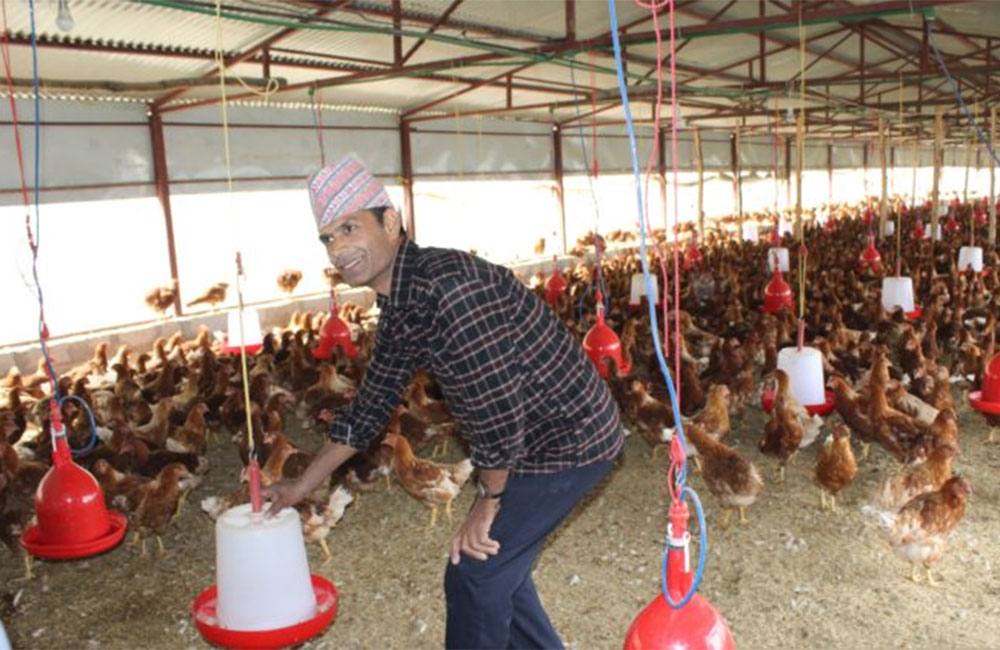 अति प्रभावित जिल्ला अध्यक्षहरुको गोष्ठी