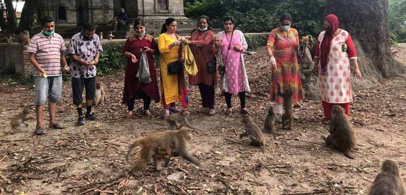 मातृशक्ती साकोसद्धारा बाँदरलाई भोजन