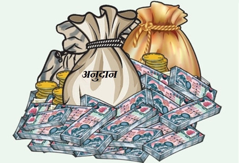 सहकारीलाई अनुदानको सट्टा सफ्टलोन दिनुपर्छ