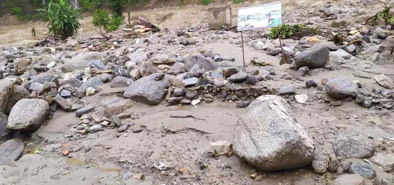 बाढीले सहकारीको कृषिफार्म बगाउँदा आधा करोड बढी क्षती 