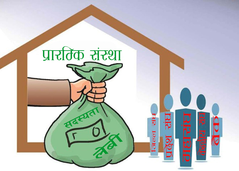 सहकारी संरचना थपिंदै, सदस्य अन्यौलमा