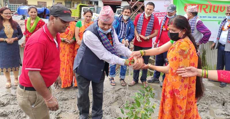 जेष्ट आईडियोलोजी साकोसद्धारा रक्तदान र वृक्षारोपण कार्यक्रम सम्पन्न