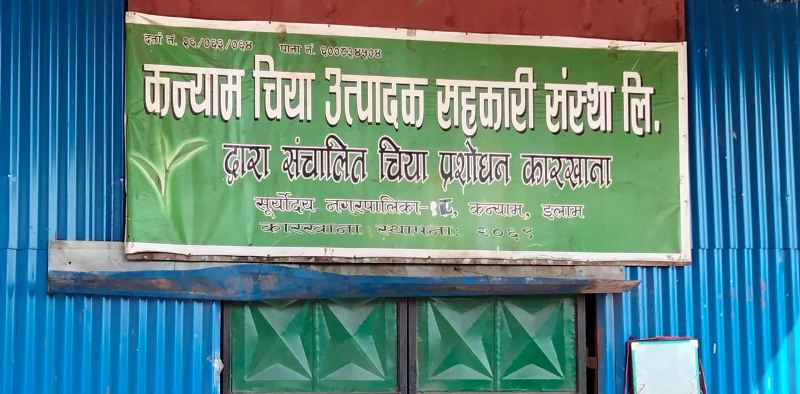 अर्गानिक चिया उत्पादनकालागि सहकारी बैंकको २ करोड लगानी