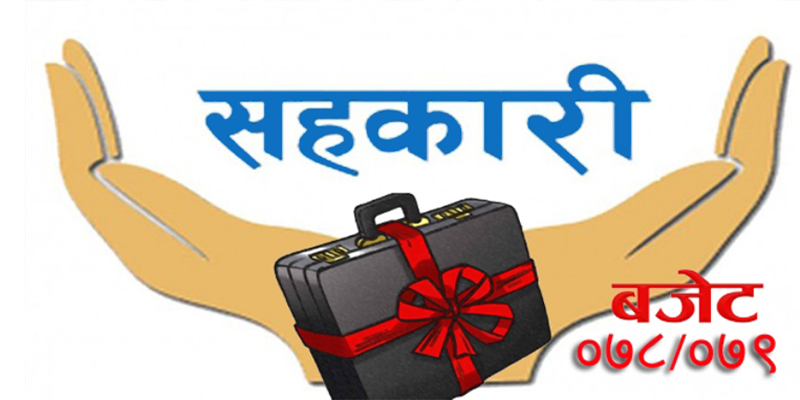 विराटनगर महानगरपालिकाकाे बजेट सार्वजनीक, सहकारीलाई डिजीटाईजेसन गर्ने