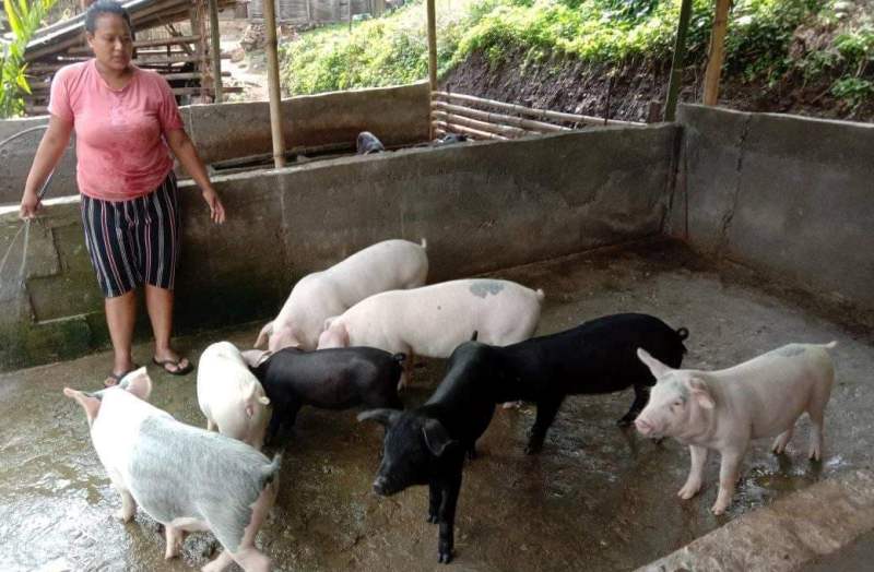 वैदेशिक रोजगारी त्यागेर, युवाहरू गाउँमै कमाउँदैछन् लाखौँ
