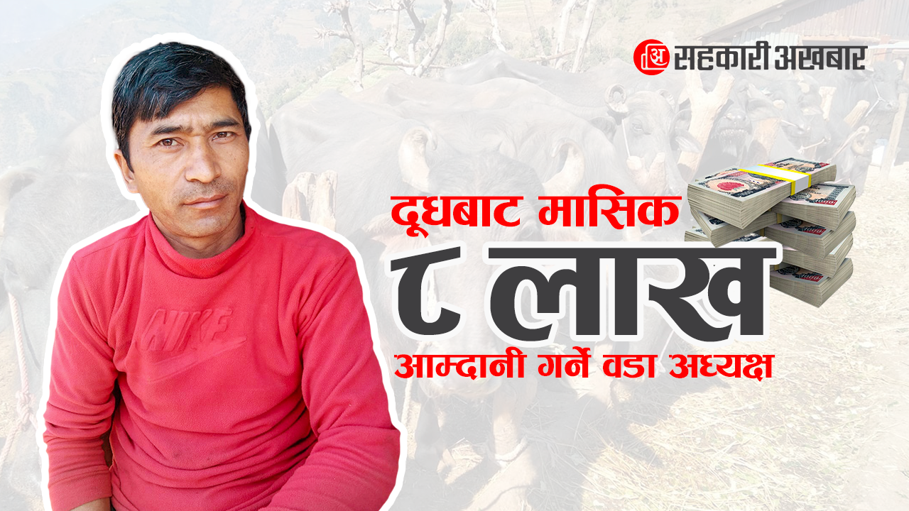 सफलताकाे कथा