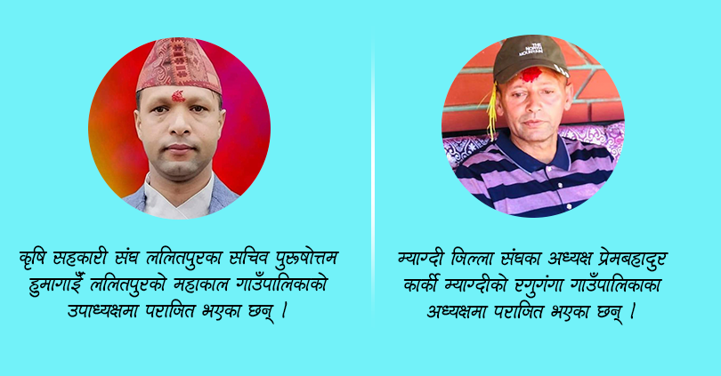 सहकारीकर्मी हुमागाई र कार्की पराजित