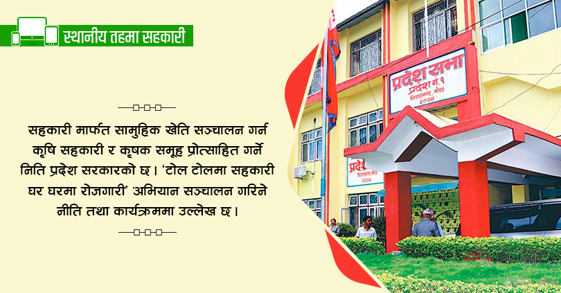 प्रदेश १ नीति तथा कार्यक्रम : सहकारी मार्फत ‘एक पालिका एक उत्पादन’ कार्यक्रम सञ्चालन गर्ने
