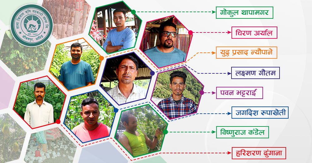 जीवनपुर साना किसान कृषि सहकारी: जसले भर्दैछ युवाहरुमा आधुनिक कृषिकर्मको जोश 