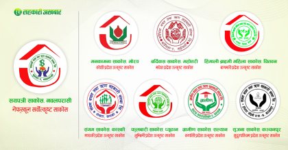 यस्ता छन् वर्ष ८१ का नेफ्स्कूनले घोषणा गरेका उत्कृष्ट साकोस