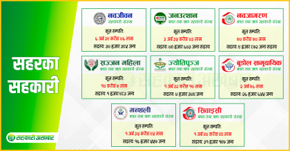 सहरका सहकारी, ८ वटा संस्थामा साढे १७ अर्ब सम्पति